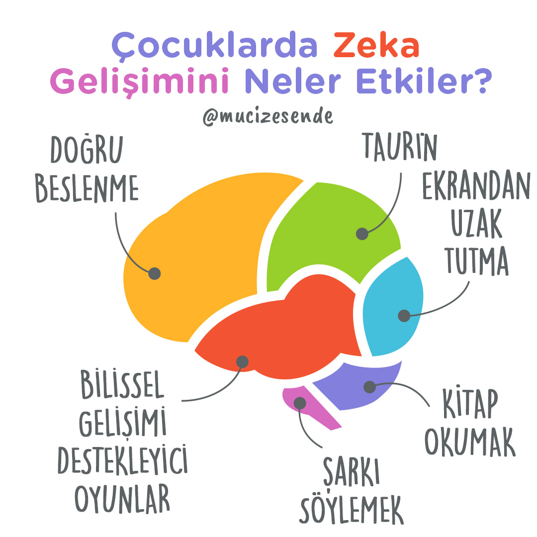 Çocuklarda Zeka Gelişimini Neler Etkiler?