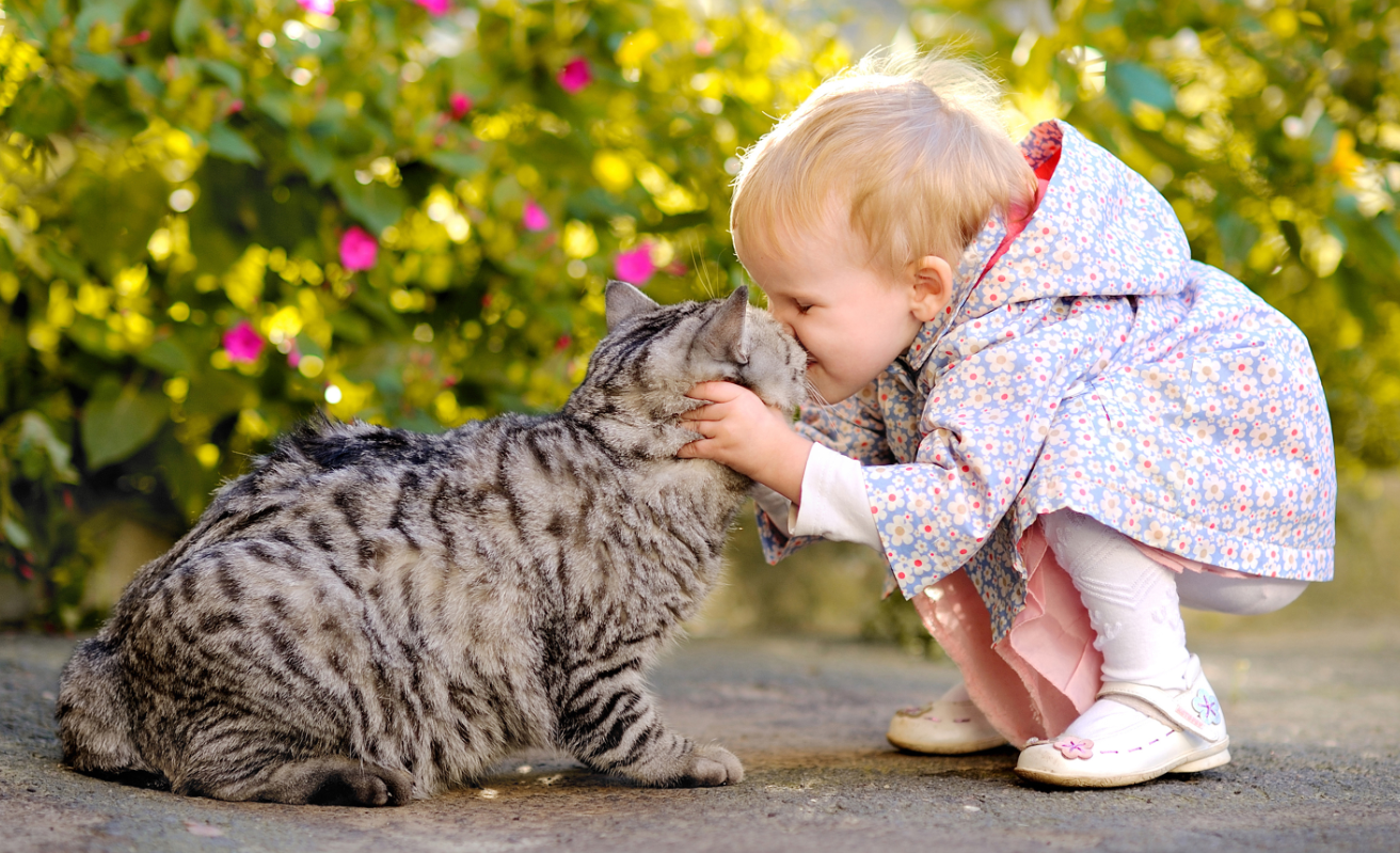 Aileye Yeni Bir Birey Katmaya Hazır Mısınız?