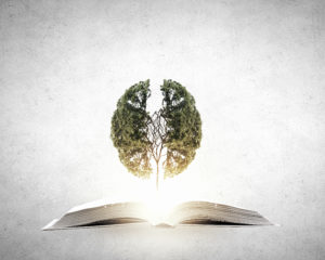 Hayal Gücünü Besleyen Kitaplar